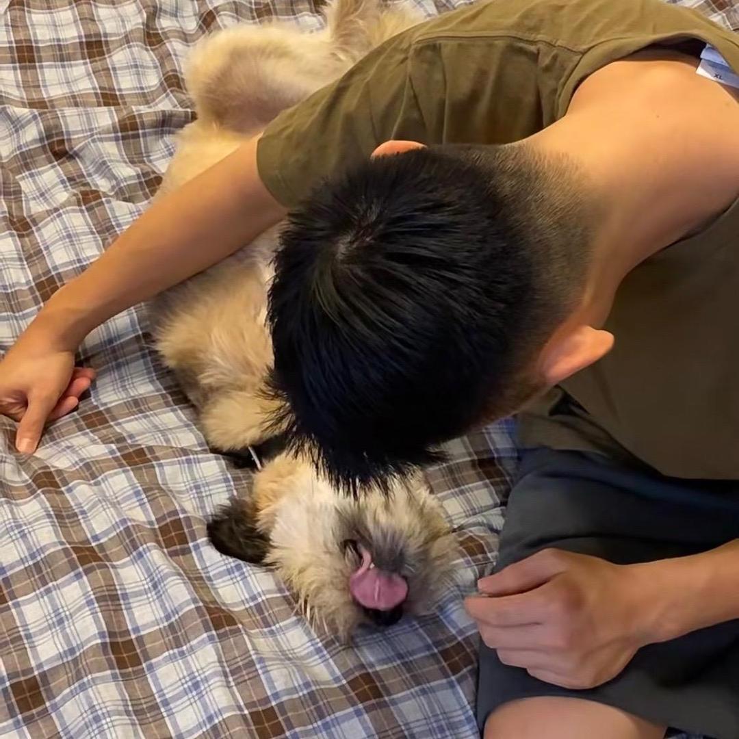 璟柏丶