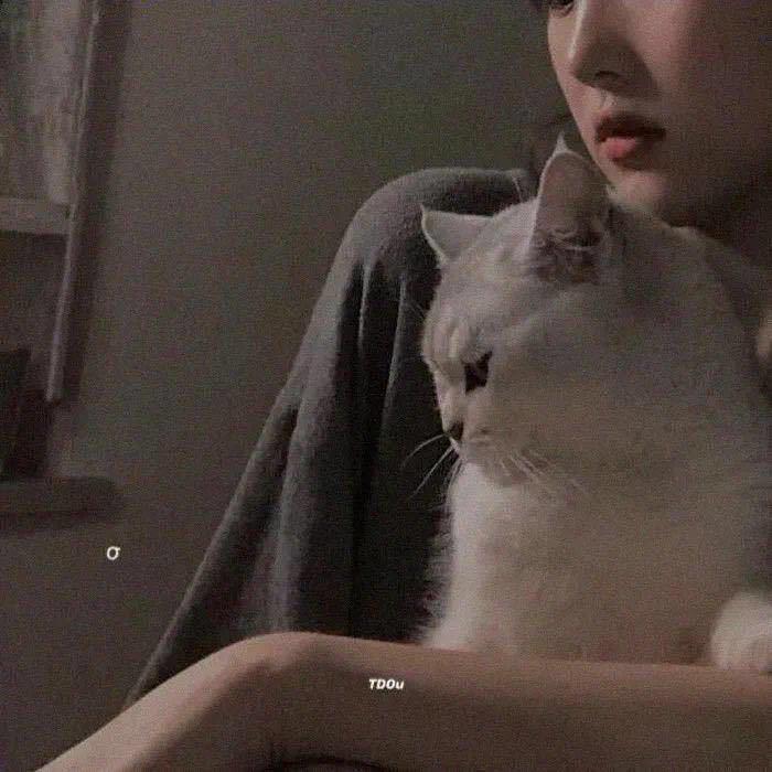 🌈小婷