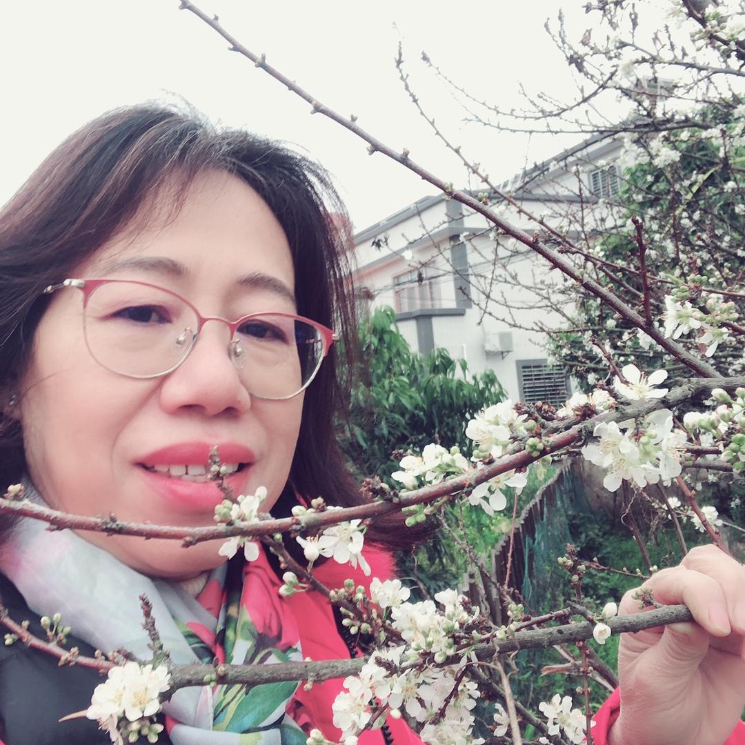 山妹子音乐