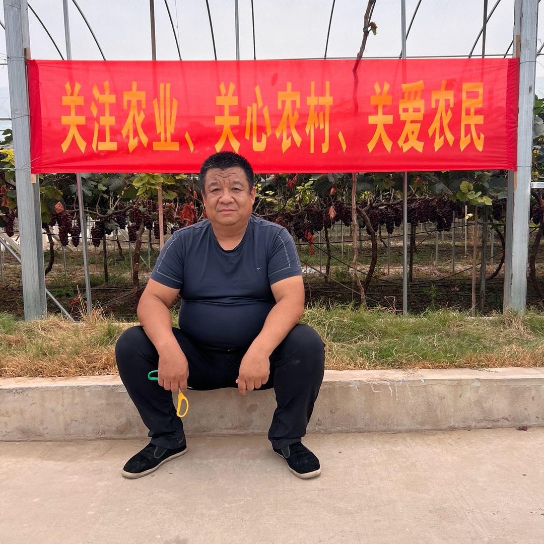 梁尚武-绿狼