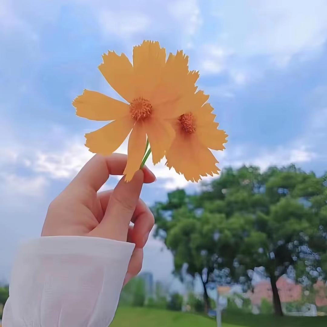 谢文静静呀🎈