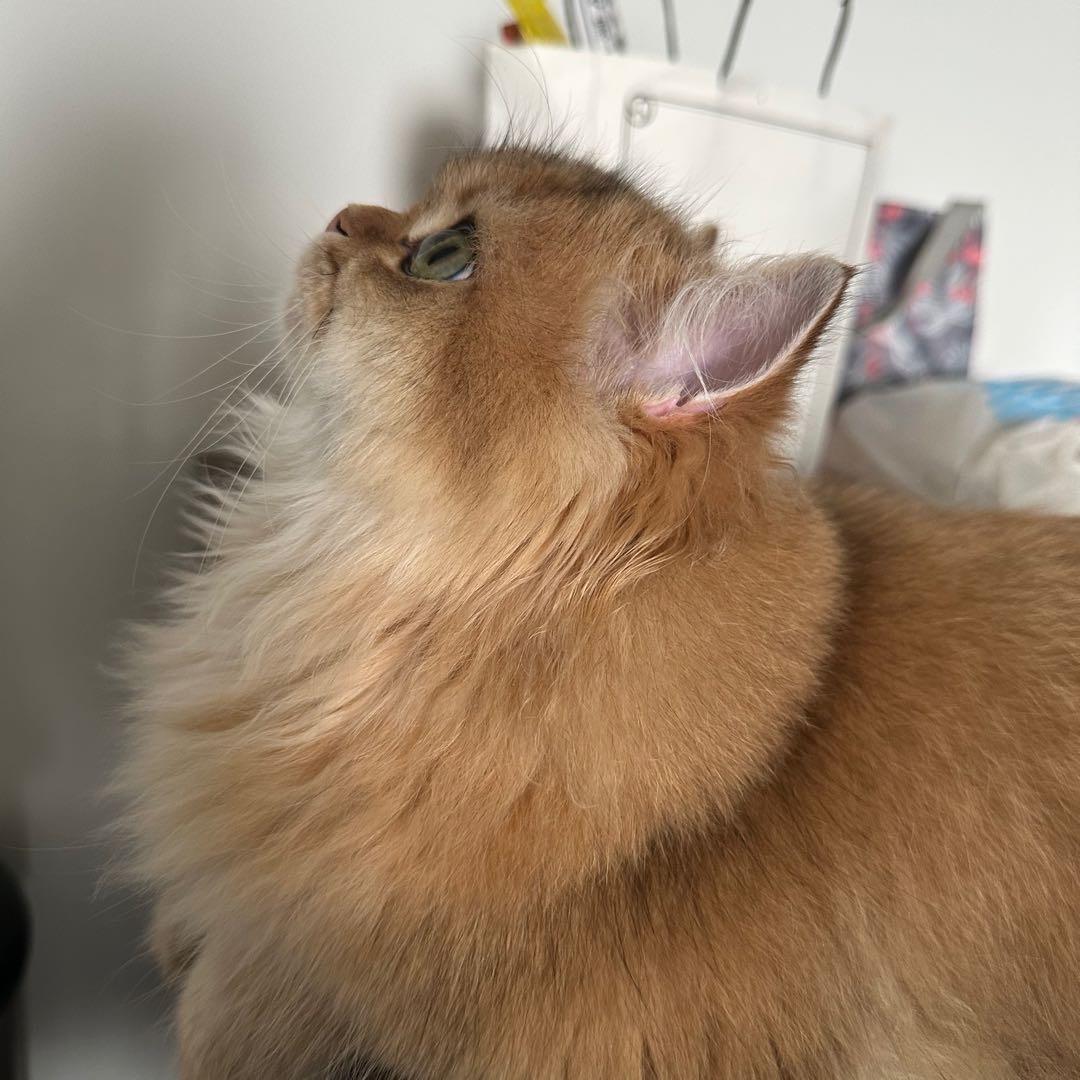 周竞健jerry