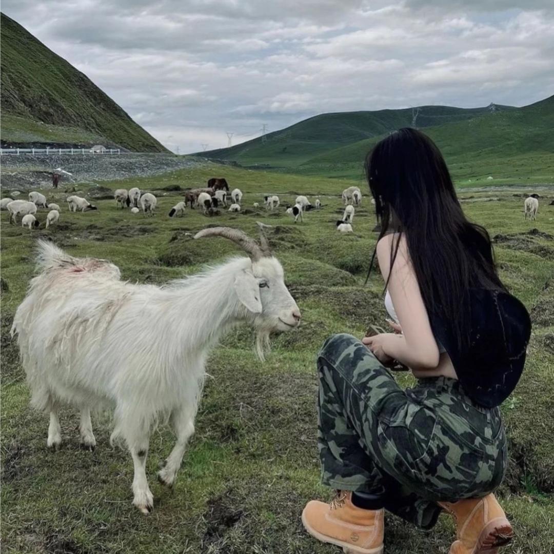 糖不甜_