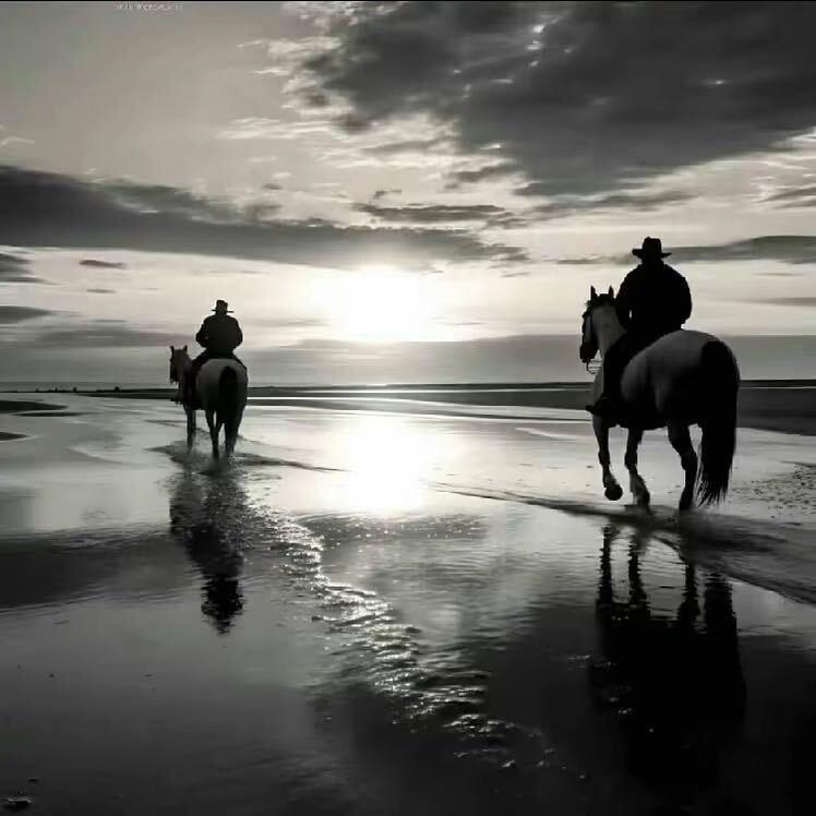 海南最深情那个