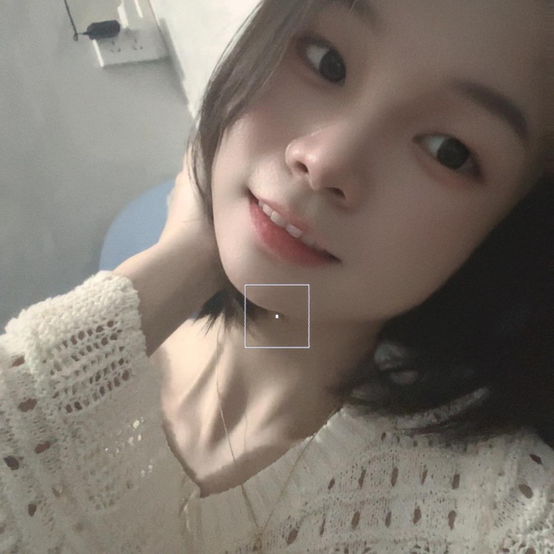7秒记忆的“鱼”