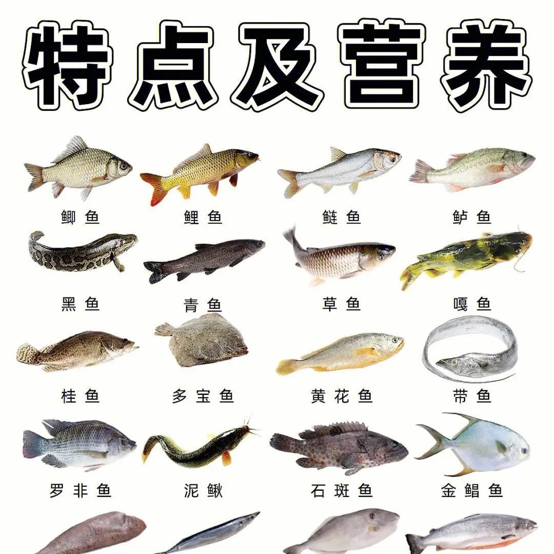 引水河特种水产批发