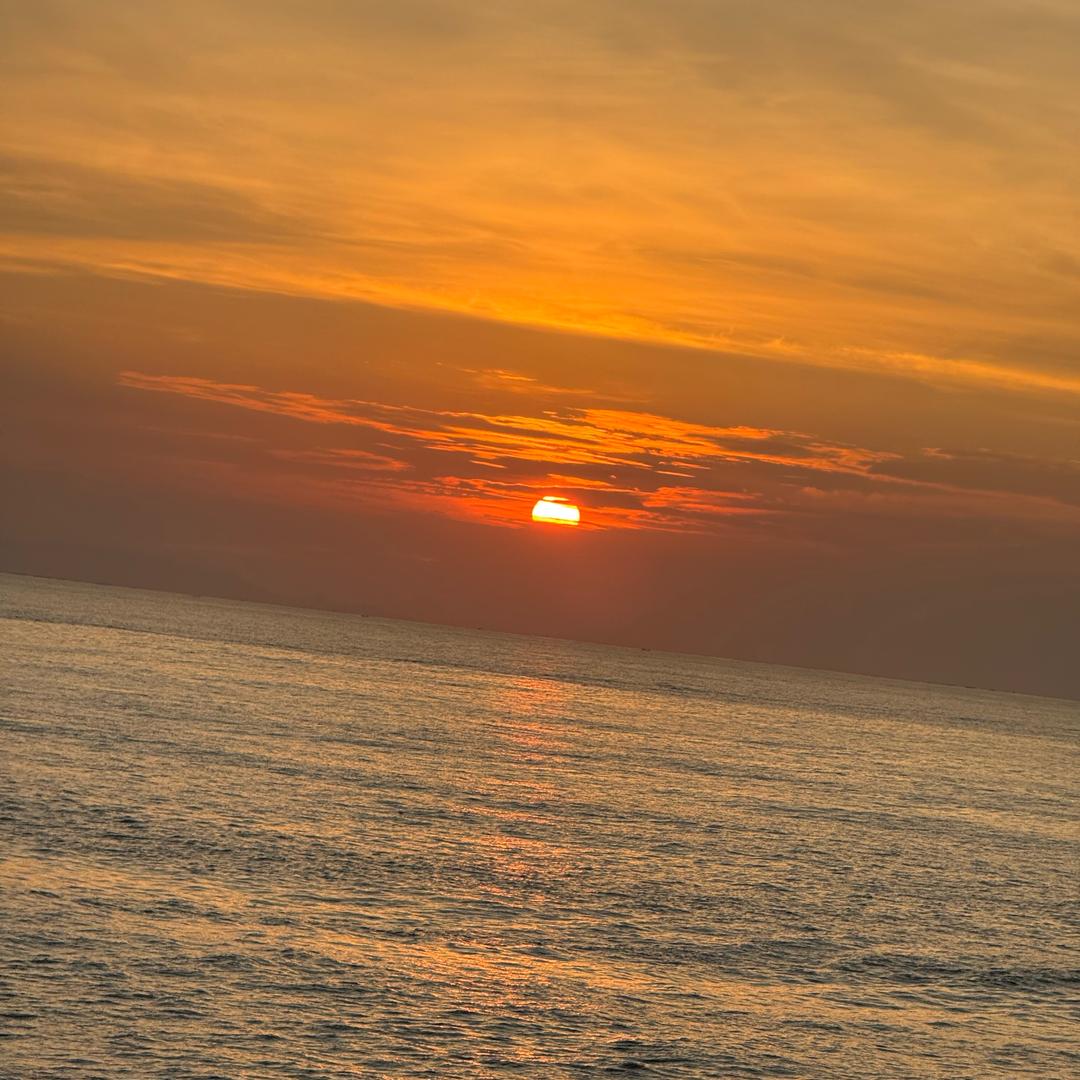 🐅人就没有一路顺风顺水的难免会起起落落