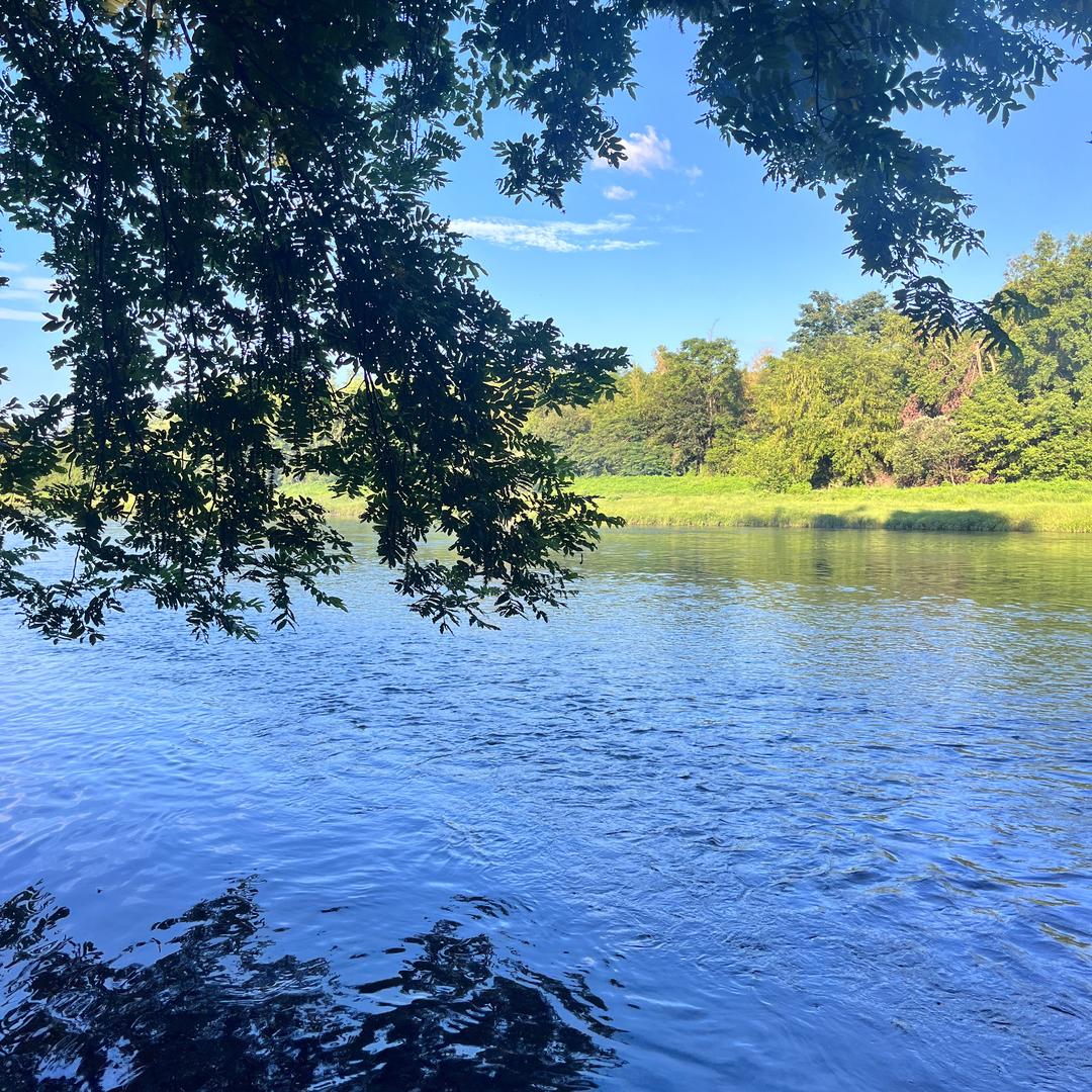 联禾地产小明探房