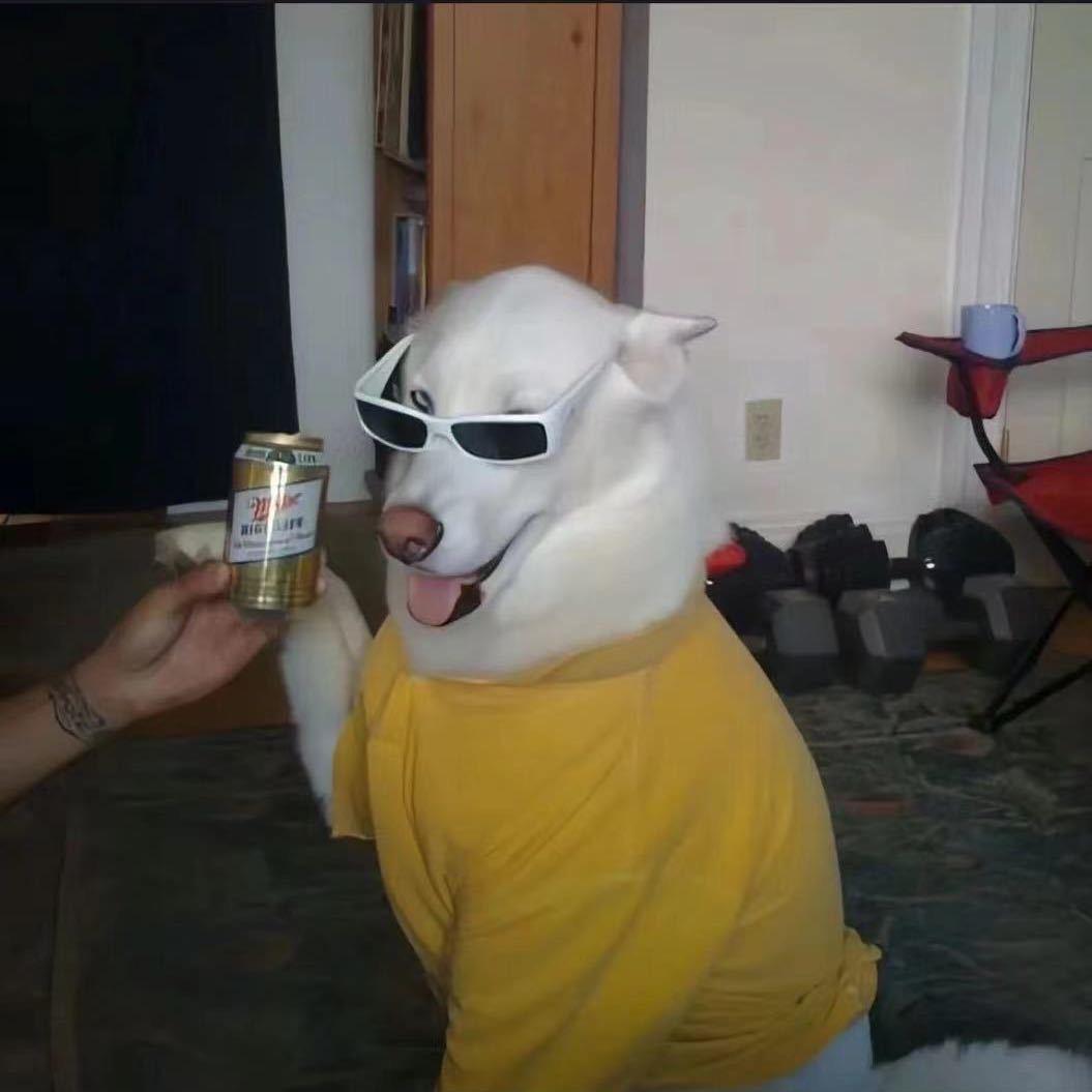 三金带你做好自媒体