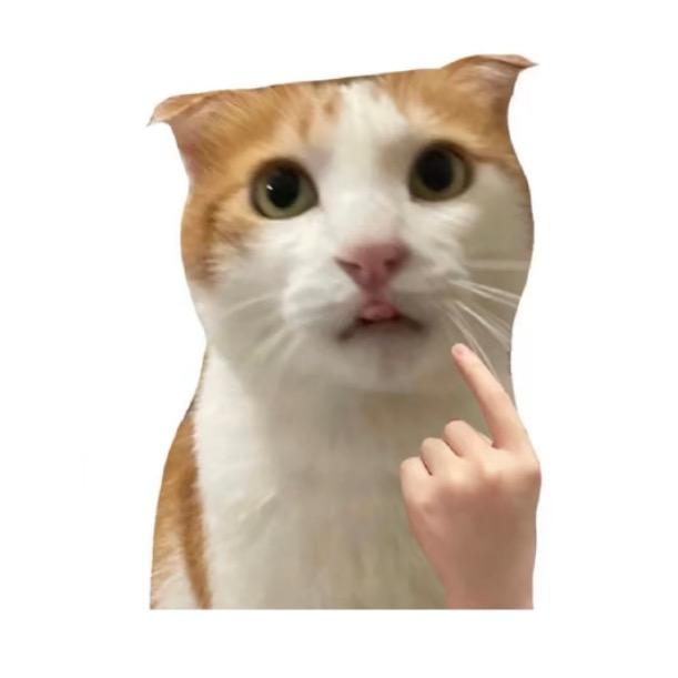 el