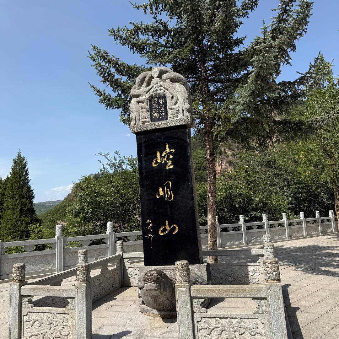 杜杜