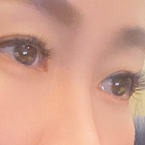 蓝狐💕💕