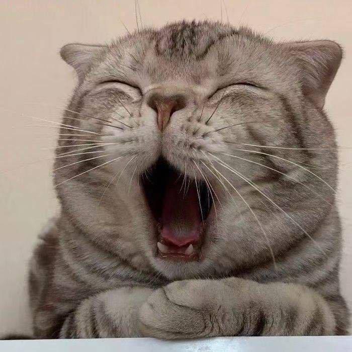 大话手游（凯泷）-心碎