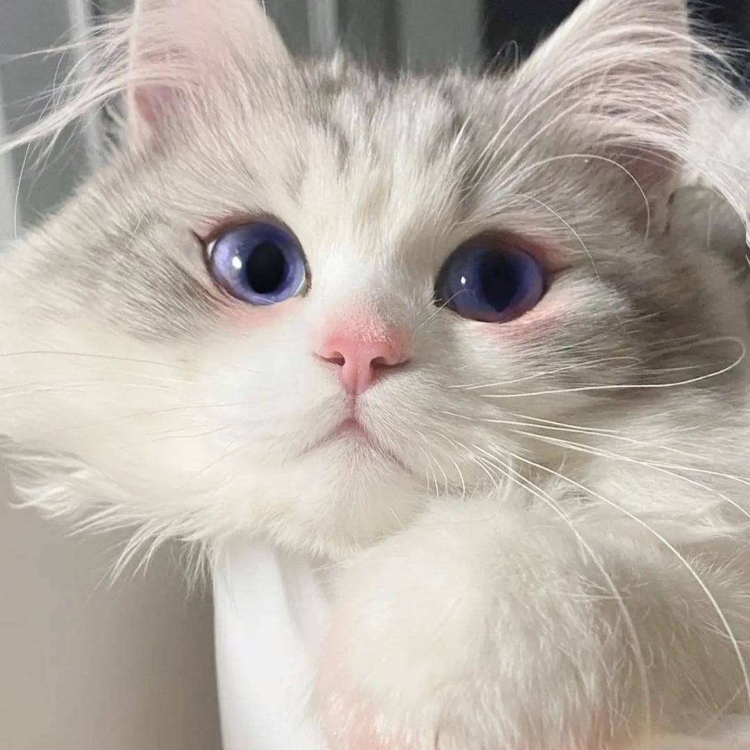 曾婷