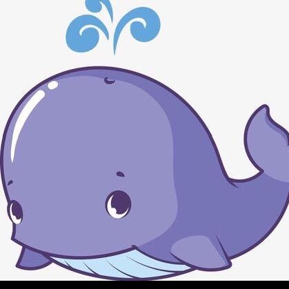 鲸小鱼🐳