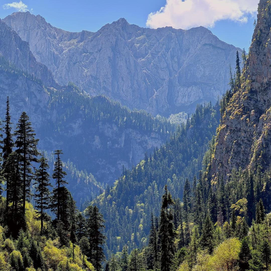 66-上海宏川新能源二手车