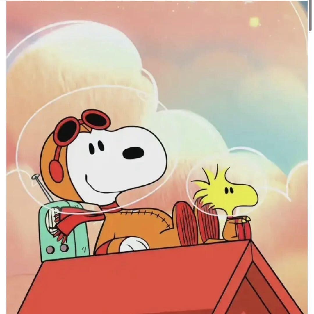 飞天小草（尊师阿赖）