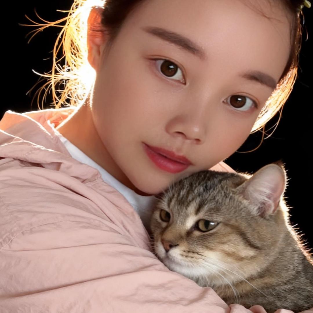 拼搏未来的梦想《晏》