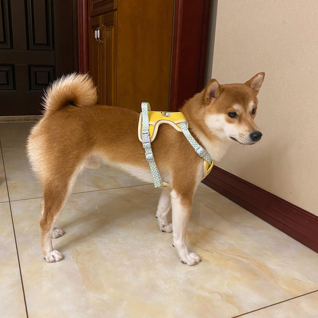 再喝一口可乐