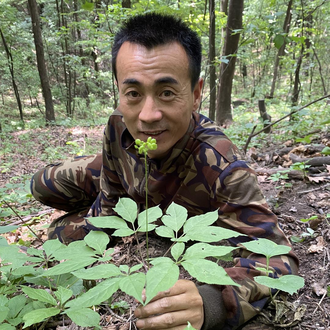 放山人的幸福生活
