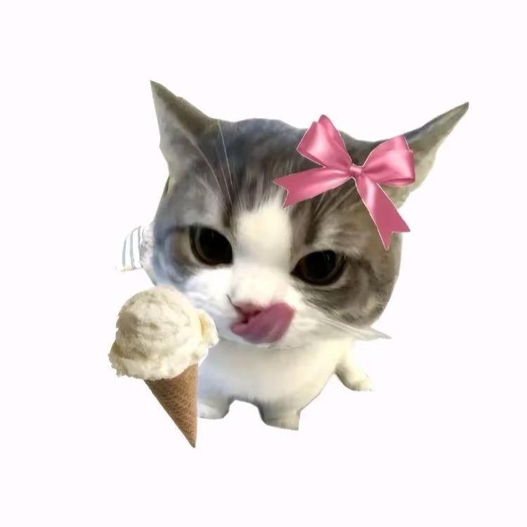 鱼饼