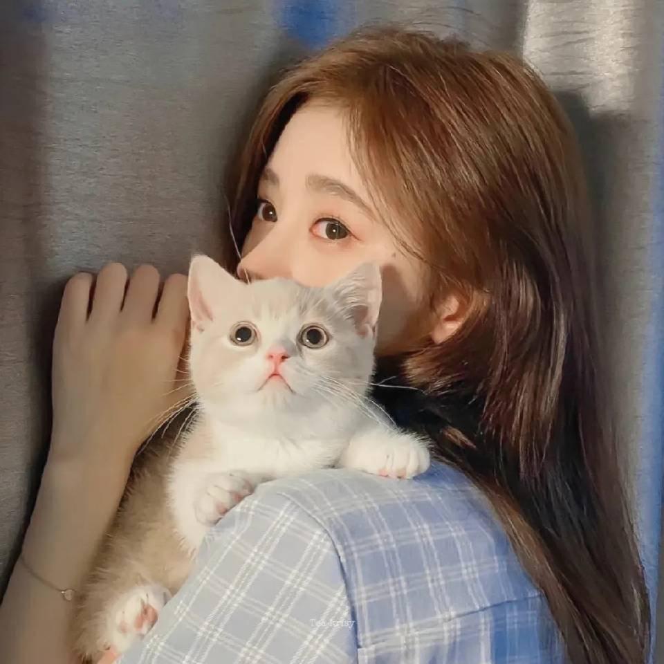 猫小二