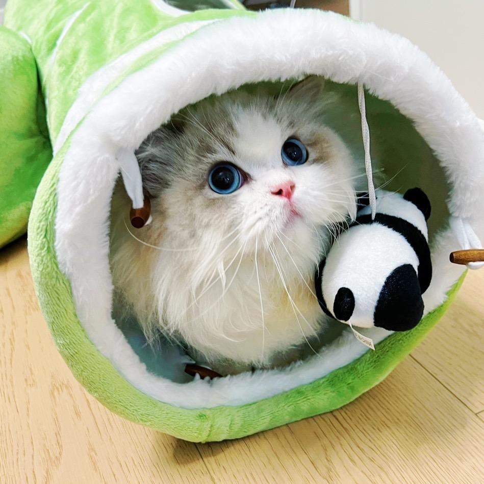江南一灿