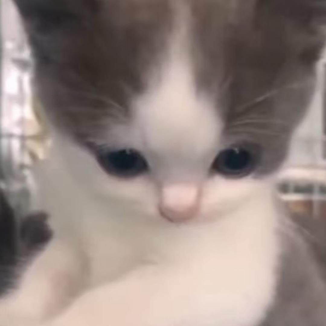 让让