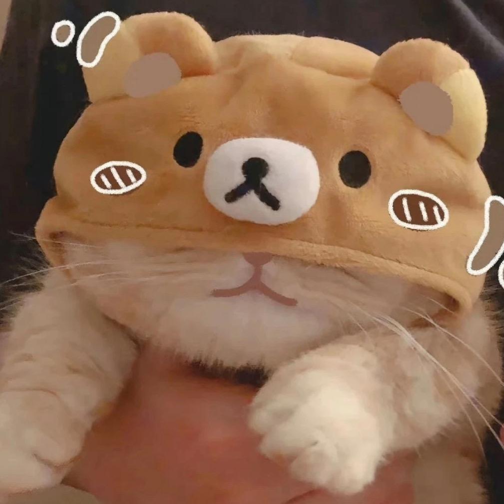 古德猫宁