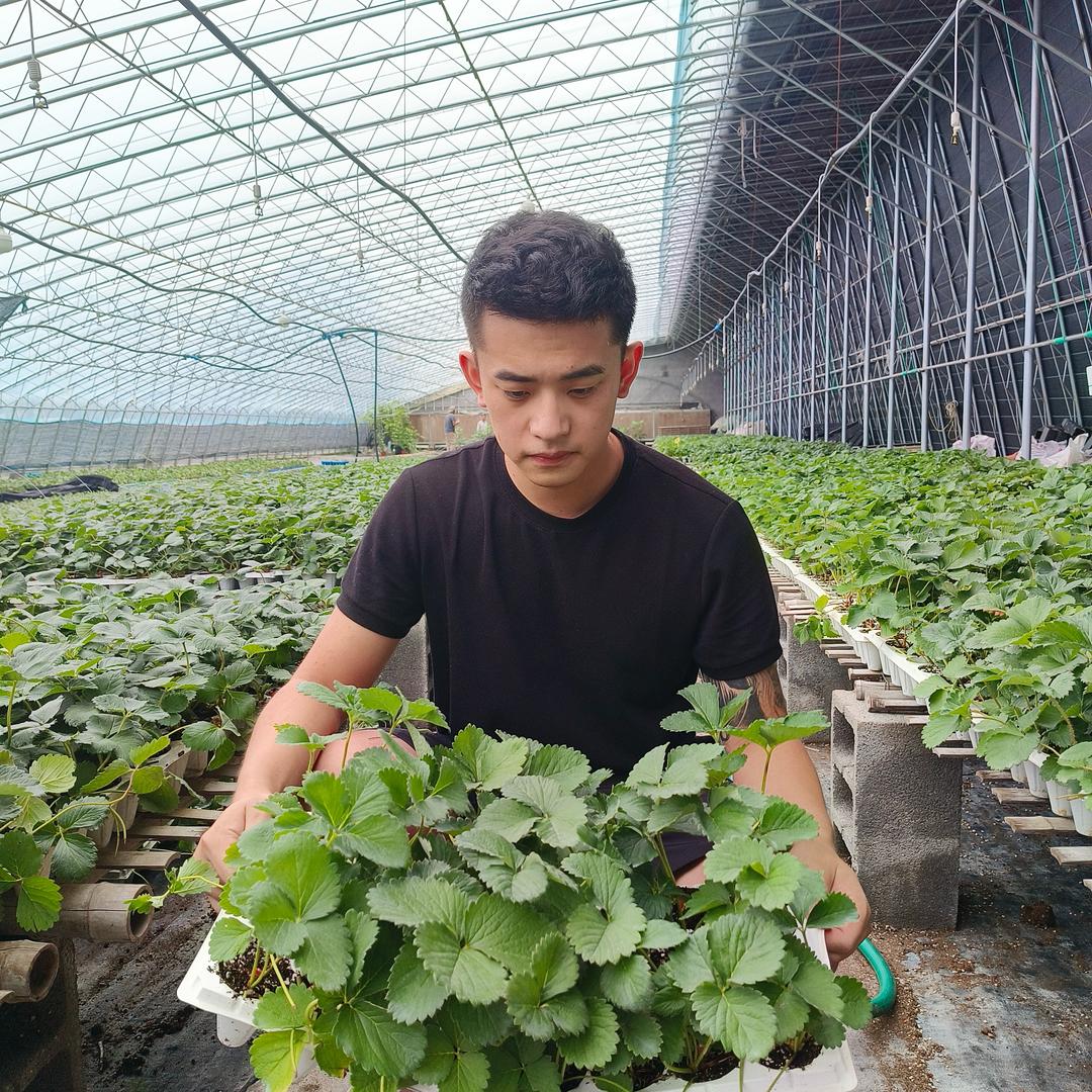 山姆的果蔬苗圃