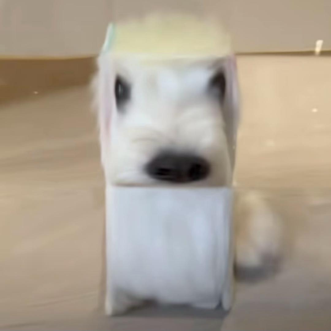 🌈🌈🌈祁东彭于晏