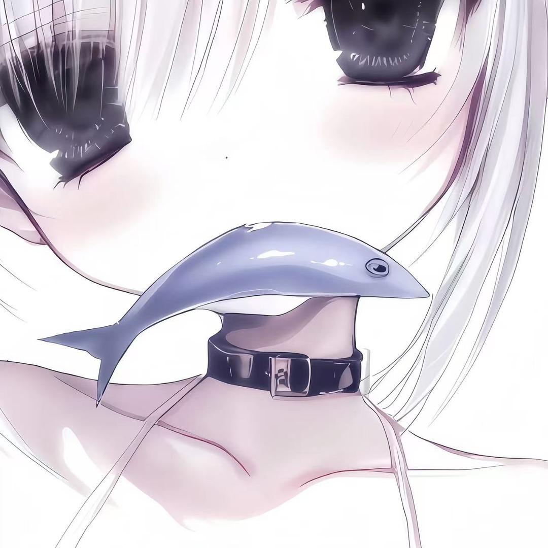 明心如月