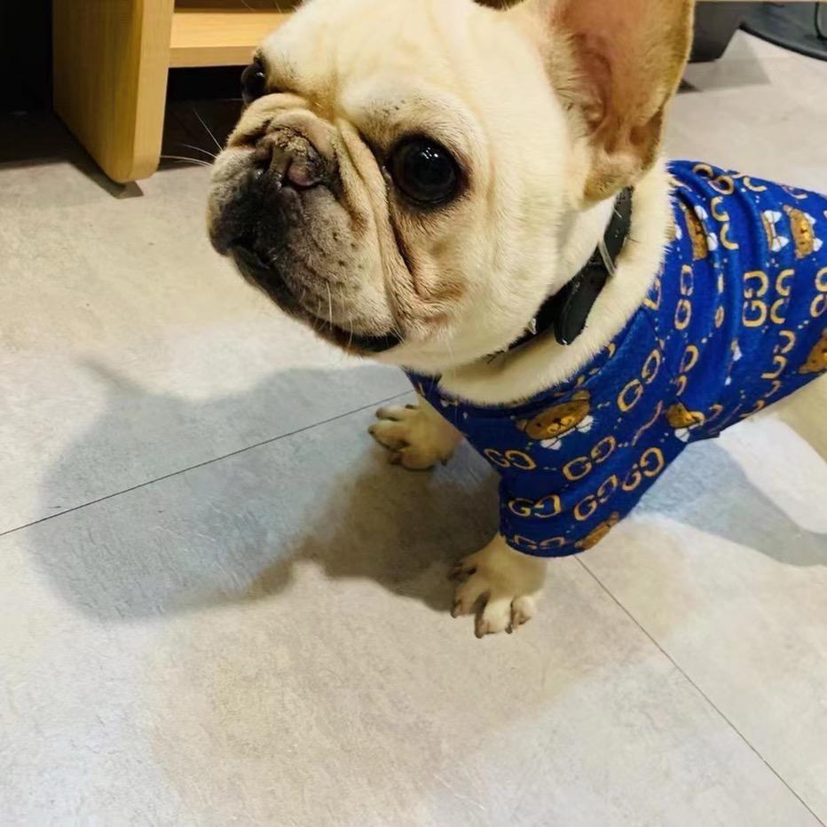 派派家的毛孩子