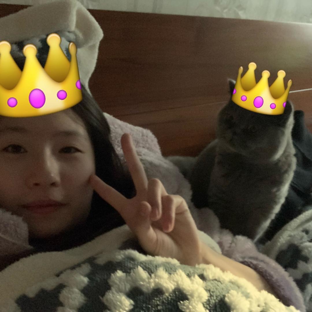 pdd女王