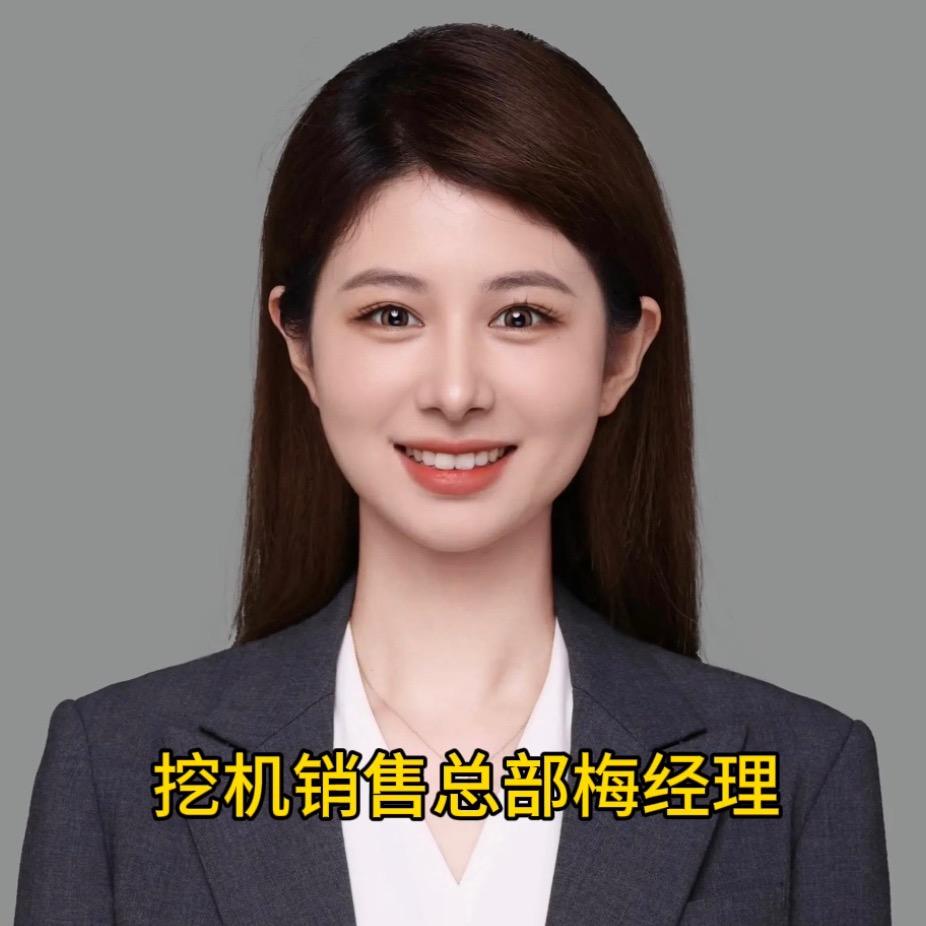梅老板的挖机 外贸