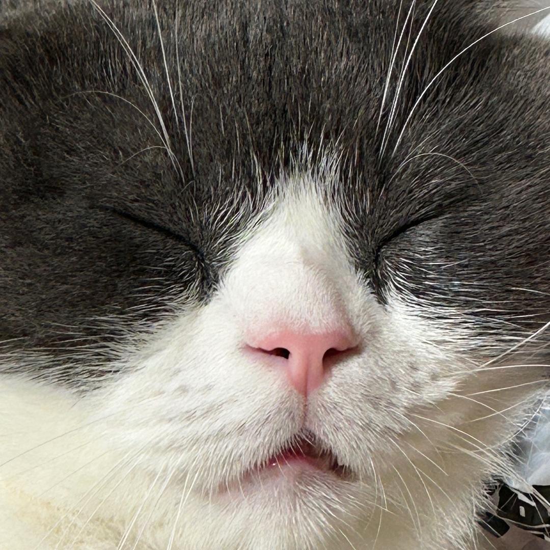 发财！