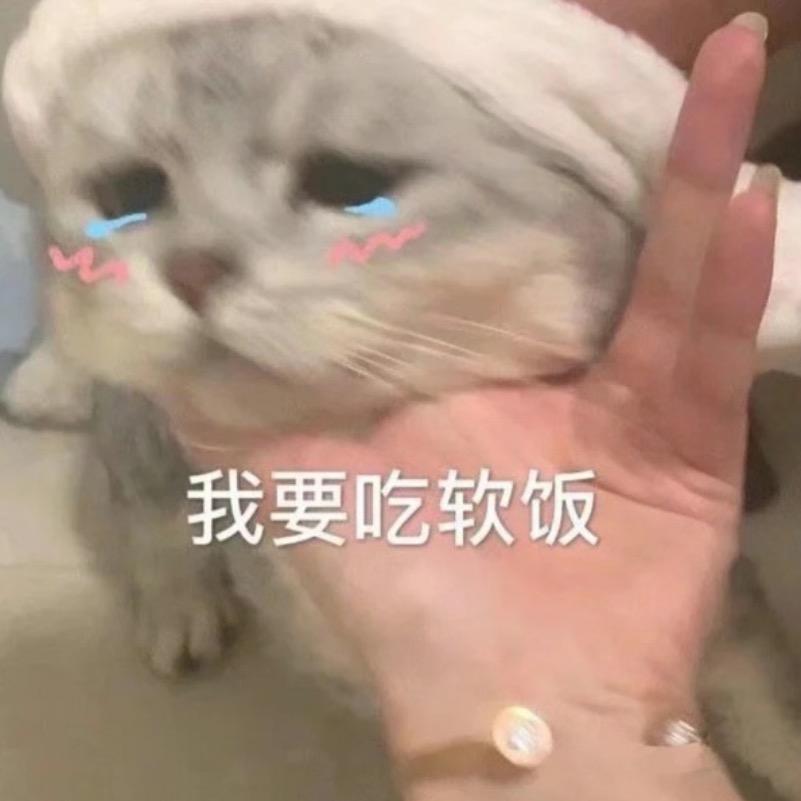 电子脉动