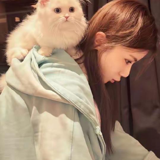 养只猫🎀
