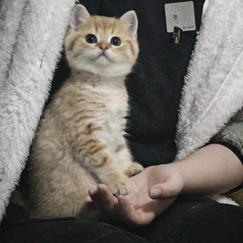 🌈不管三七二十一