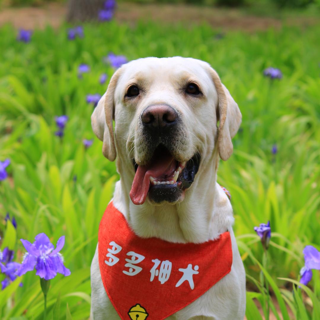 多多和王钰