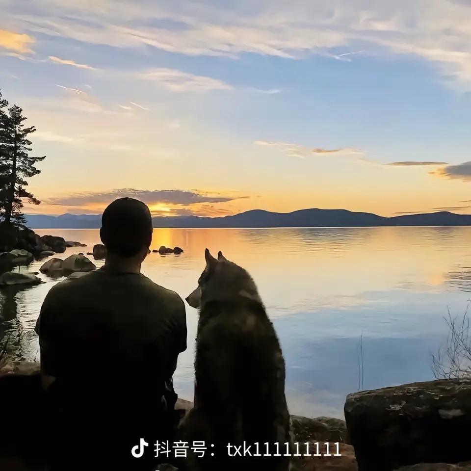 二伟
