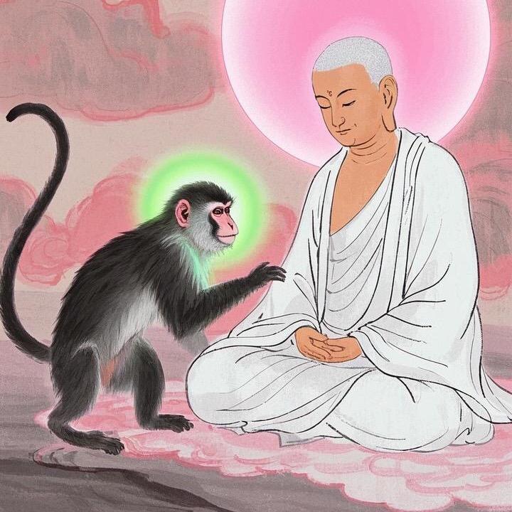 光依居士