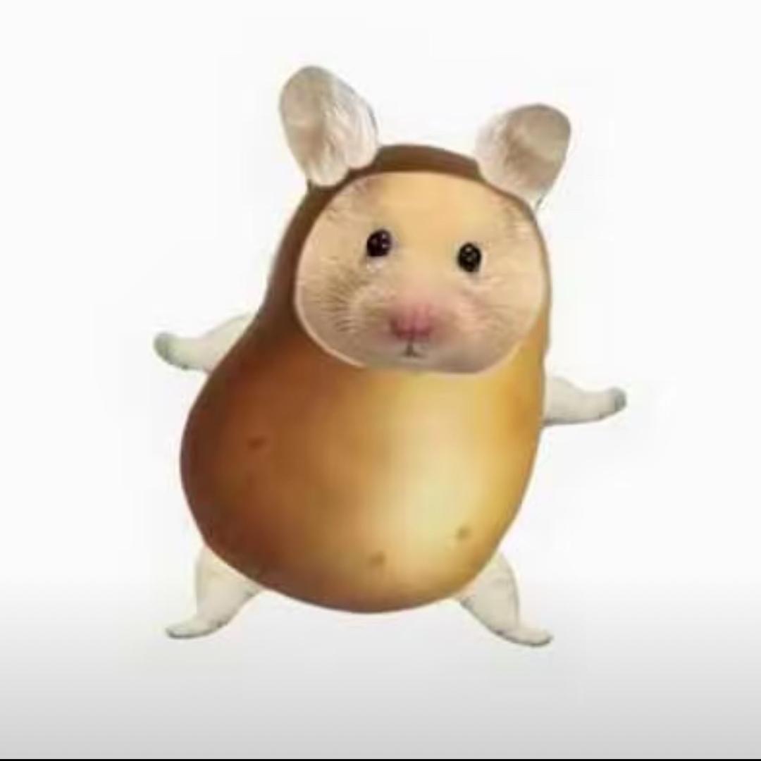 呀土豆🥔