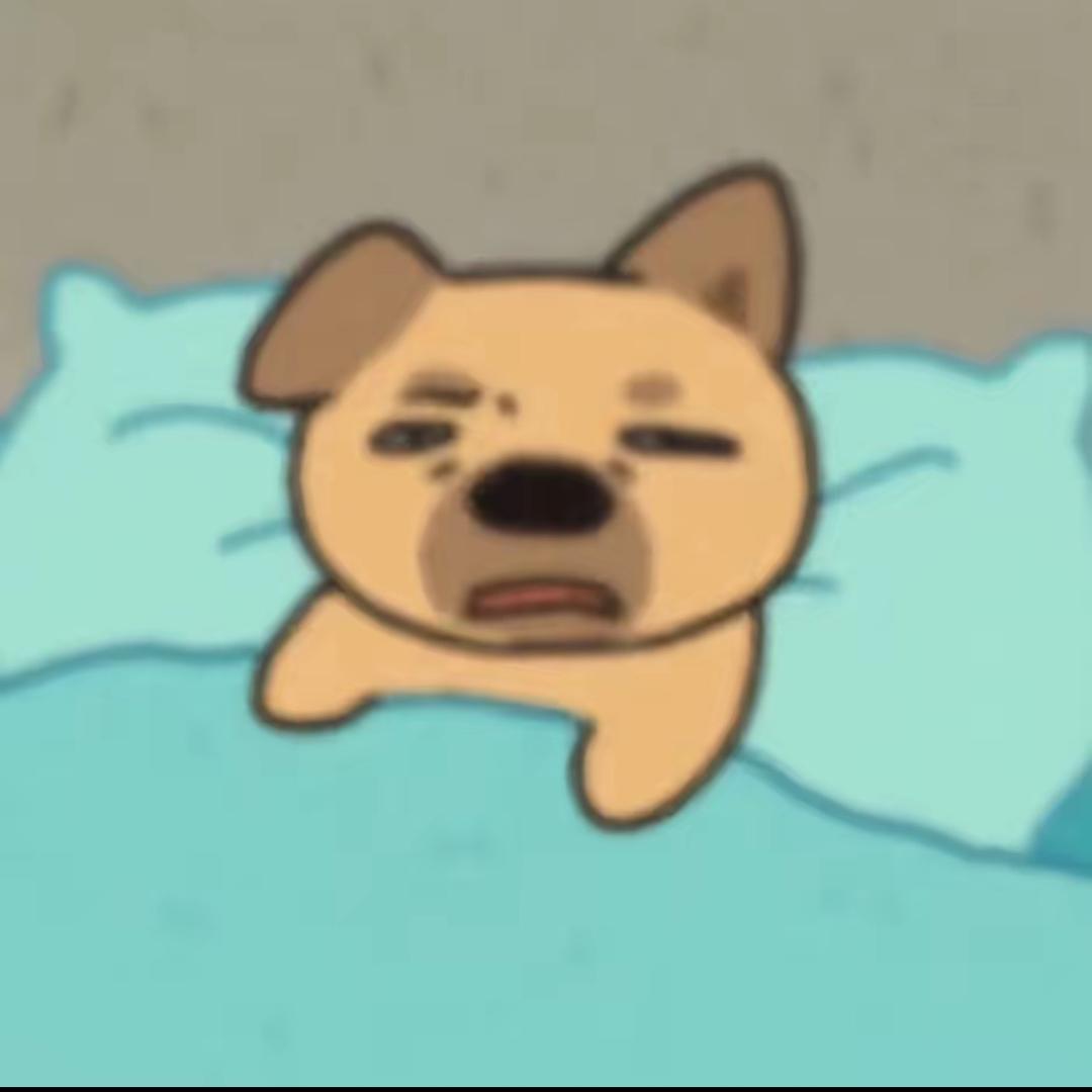 喜欢猪