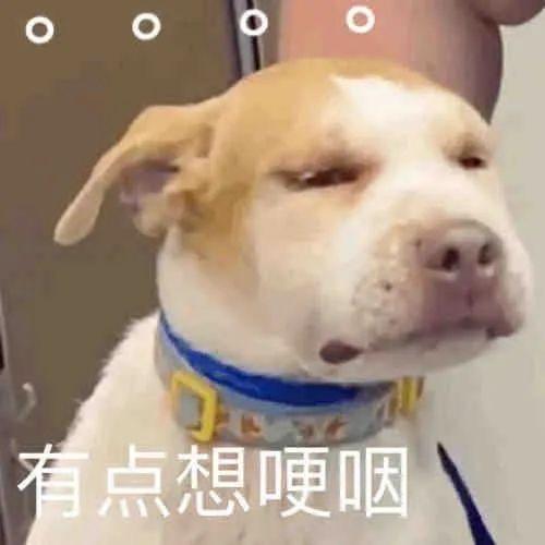 文文