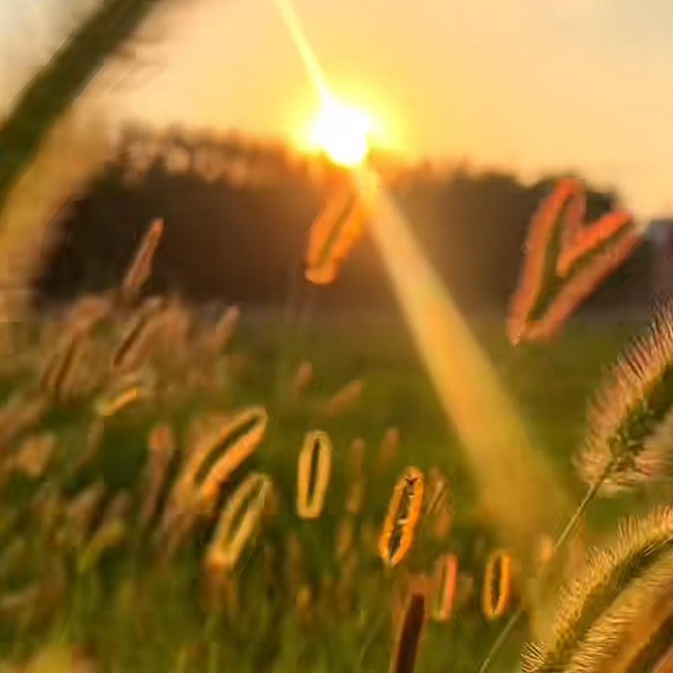今夕何夕