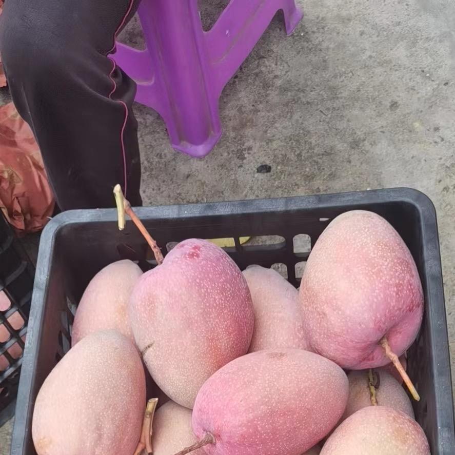 水果搭档农产品店