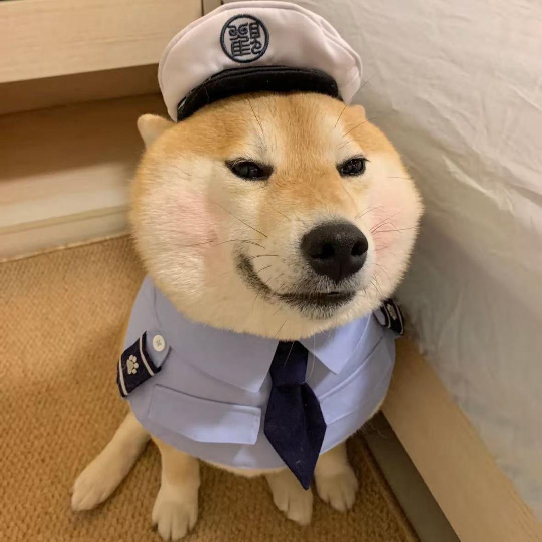 小狗啊色