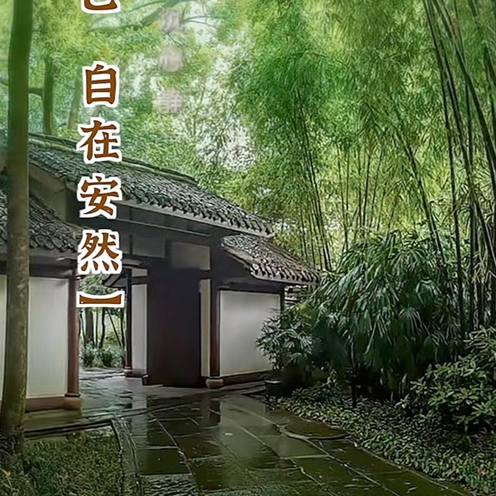 普陀山下的紅菇娘