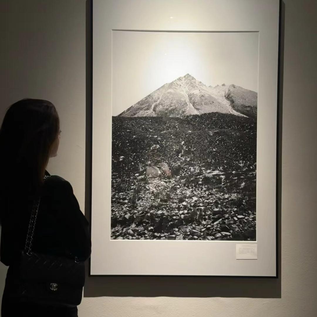 小陈挫甲日常